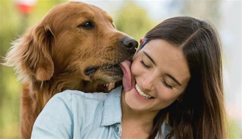 mujeres follando con perros grandes|Perros follando a mujer zoofilia